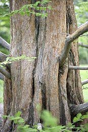 PS5＆VR节奏游《绊爱：触摸节拍！》确定2023年2月22日发售